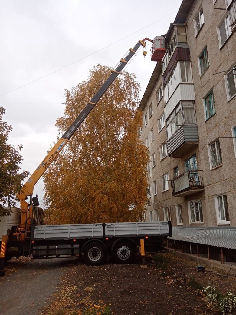 Демонтаж и монтаж башенного крана в Омске по низкой цене